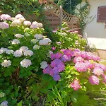 Apartament Haus Flora - *