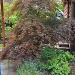 Haus Flora - *