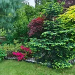 Haus Flora - Bodensdorf