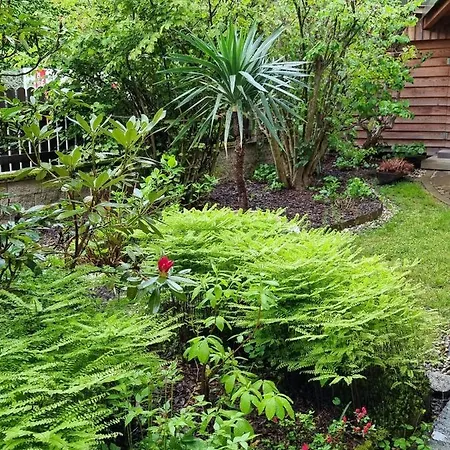 Haus Flora - Bodensdorf