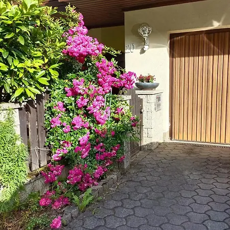 Apartmán Haus Flora - *