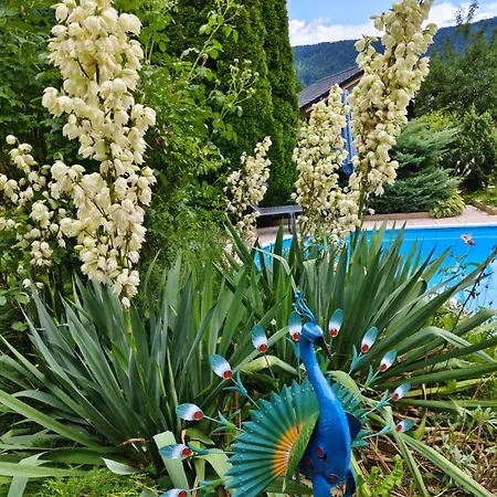 Apartmán Haus Flora - *