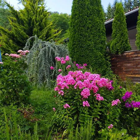 Haus Flora - Appartement Bodensdorf