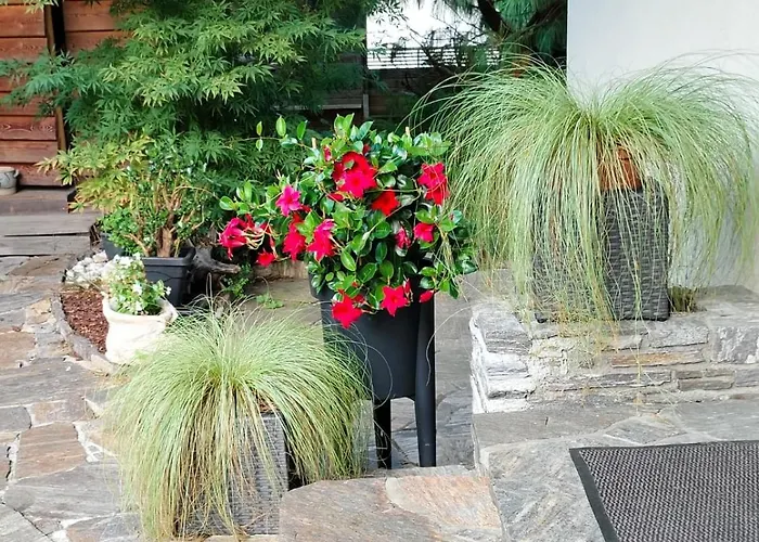 דירה Haus Flora -