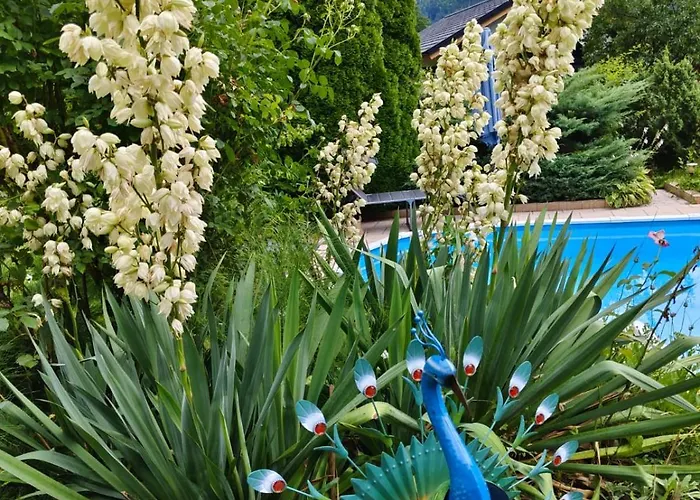 Apartament Haus Flora - *